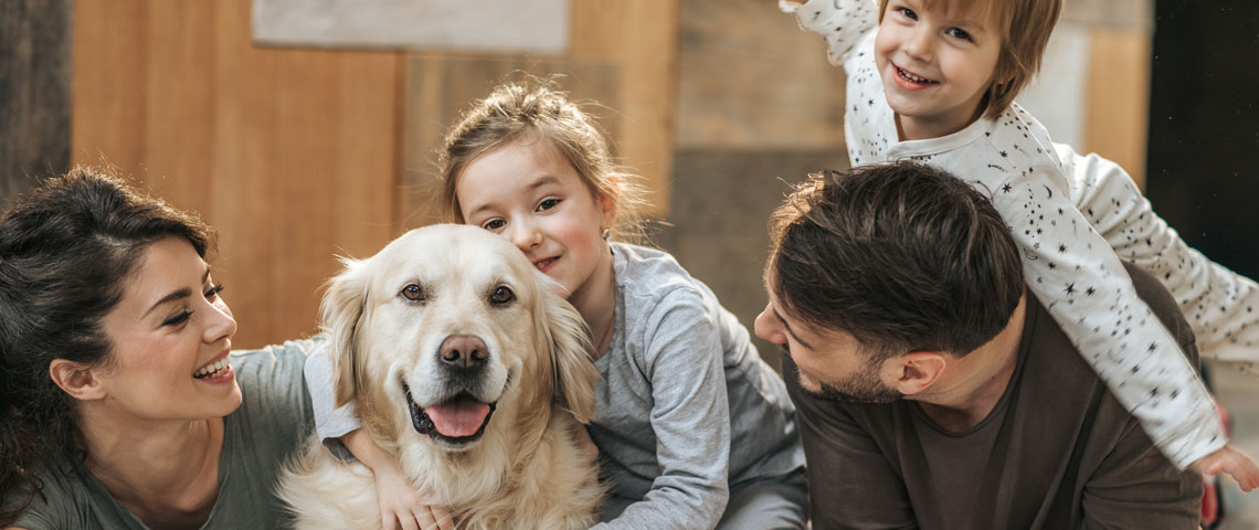 Dokas_Start_Slider_3