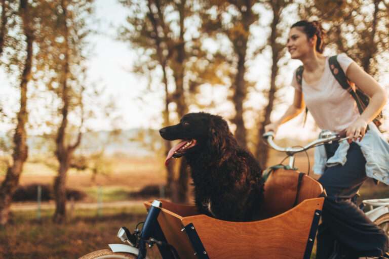 Frau fährt mit ihrem schwarzen Hund auf einem hölzernen Lastenfahrrad Fahrrad.