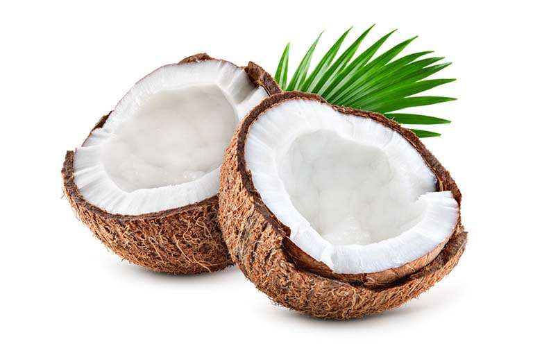 Zwei Hälften einer frischen Kokosnuss mit Kokospalmenblatt