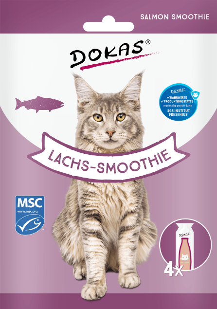 Dokas Lachs-Smoothie Katzenfutterverpackung mit Maine Coon Katze. 4x Beutel.